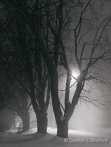 Foggy Winter Night_33254,59-64B.jpg - Photographed at Smiths Falls, Ontario, Canada.